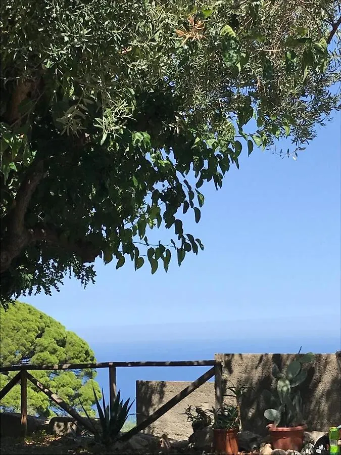 L'Ulivo In Villa Greco Tindari Italia